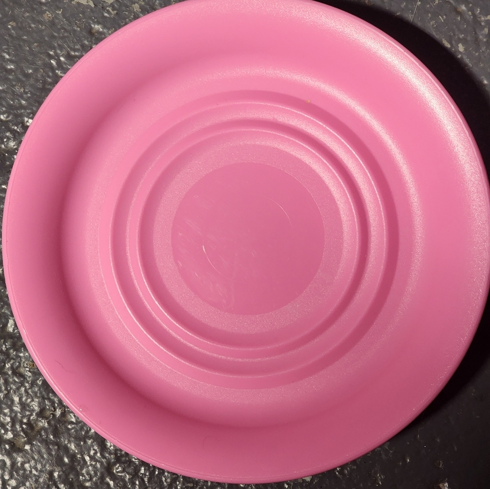 Tupperware Kids Pink Plate Set Of 4
